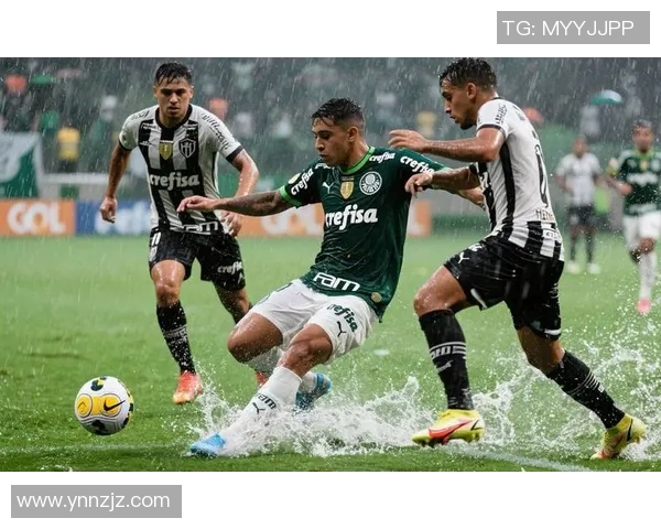 帕尔梅拉丝与弗拉门戈的巅峰对决谁将赢得巴西足球的荣耀 帕尔梅拉丝与弗拉门戈的巅峰对决谁将赢得巴西足球的荣耀