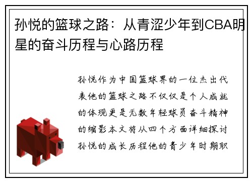 孙悦的篮球之路：从青涩少年到CBA明星的奋斗历程与心路历程