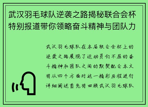 武汉羽毛球队逆袭之路揭秘联合会杯特别报道带你领略奋斗精神与团队力量