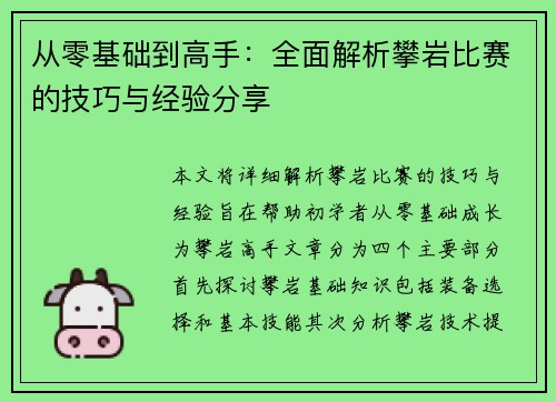 从零基础到高手：全面解析攀岩比赛的技巧与经验分享